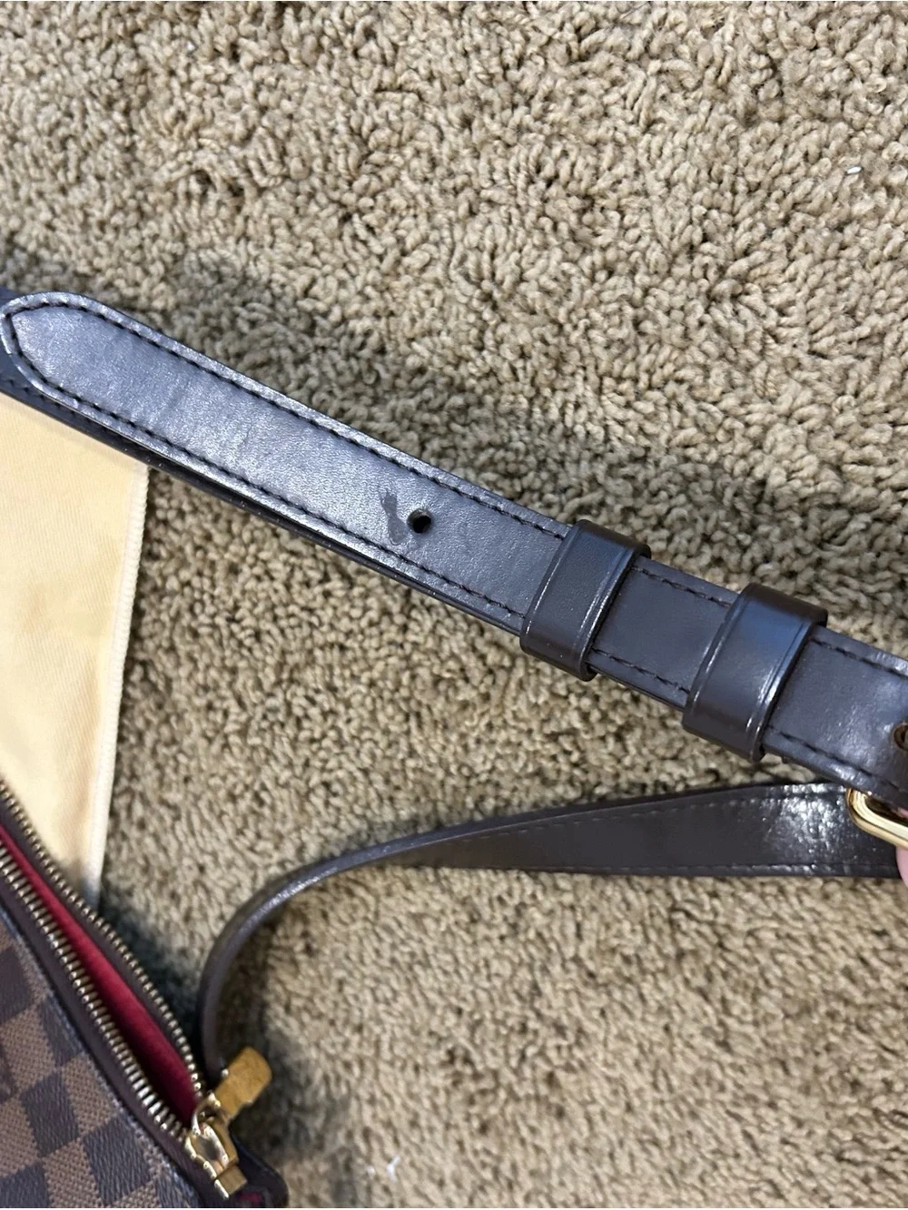 Louis Vuitton authentic louis